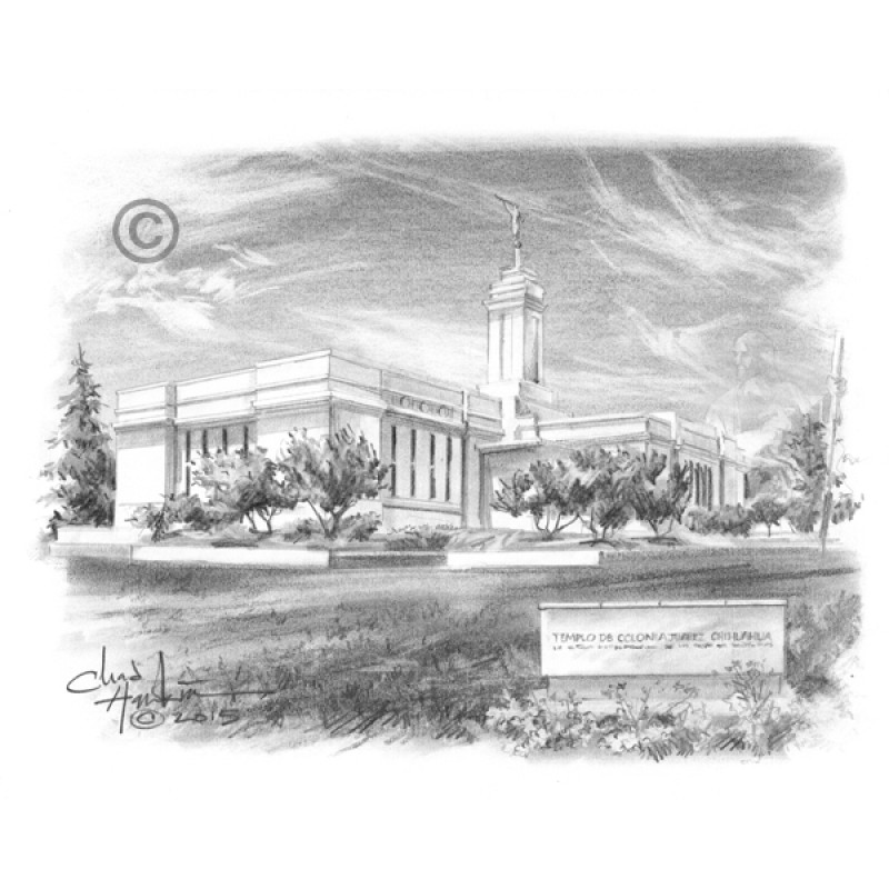Colonia Juárez Chihuahua Mexico Temple