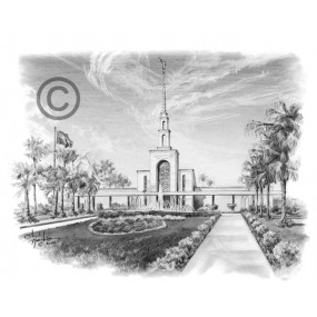 Sao Paulo Brazil Temple Recommend Holder